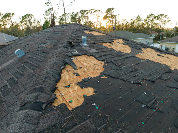 Best Roof Maintenance and Cleaning  in Rising Sun Lebanon, DE